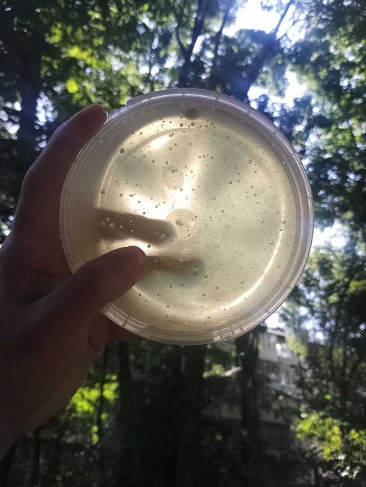 Мед із Акації. Сільський, 100% натуральний. Викачка - 2025 рік