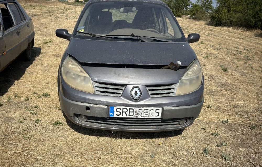 Двері в разборка Renault Scenic 2 розборка або комплектна