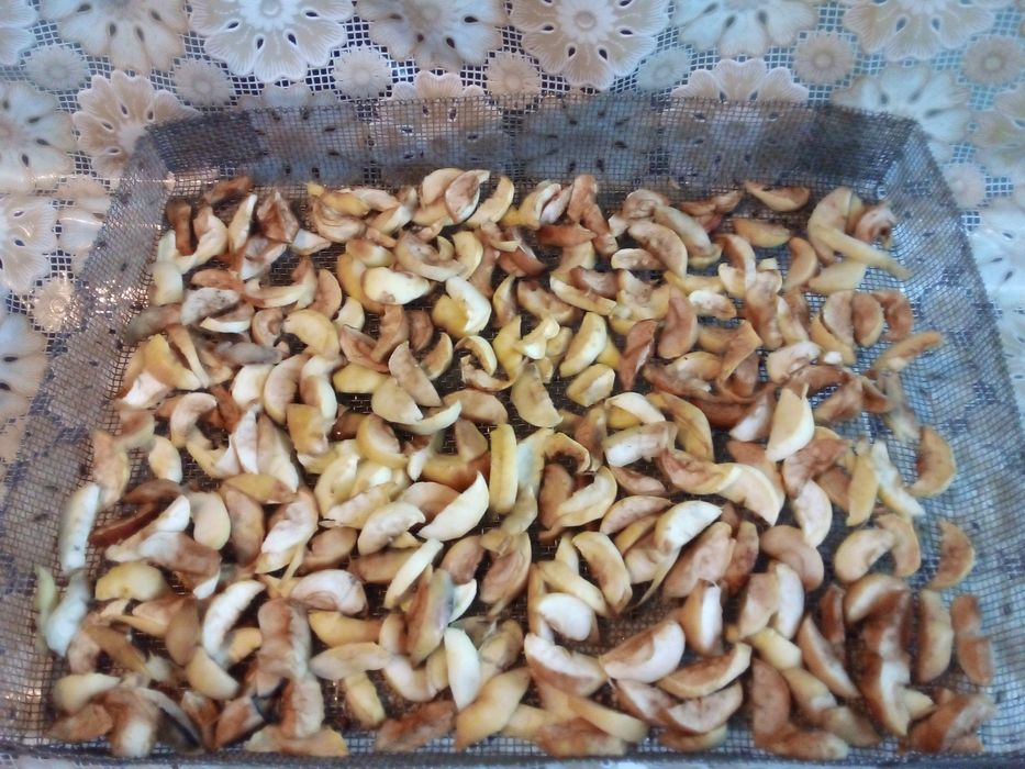 Яблука сушені в печі