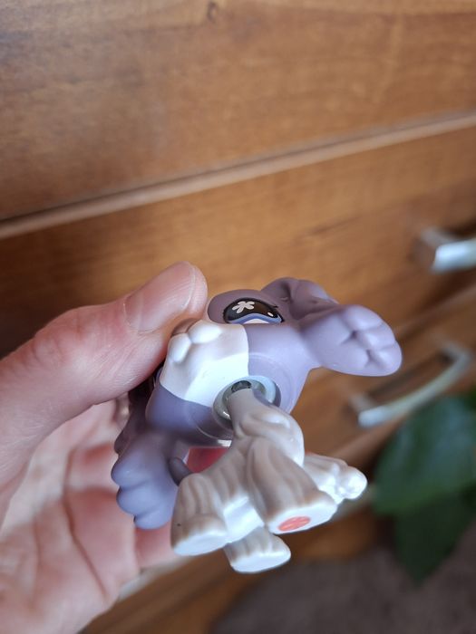 Lps pet shop piesek spaniel