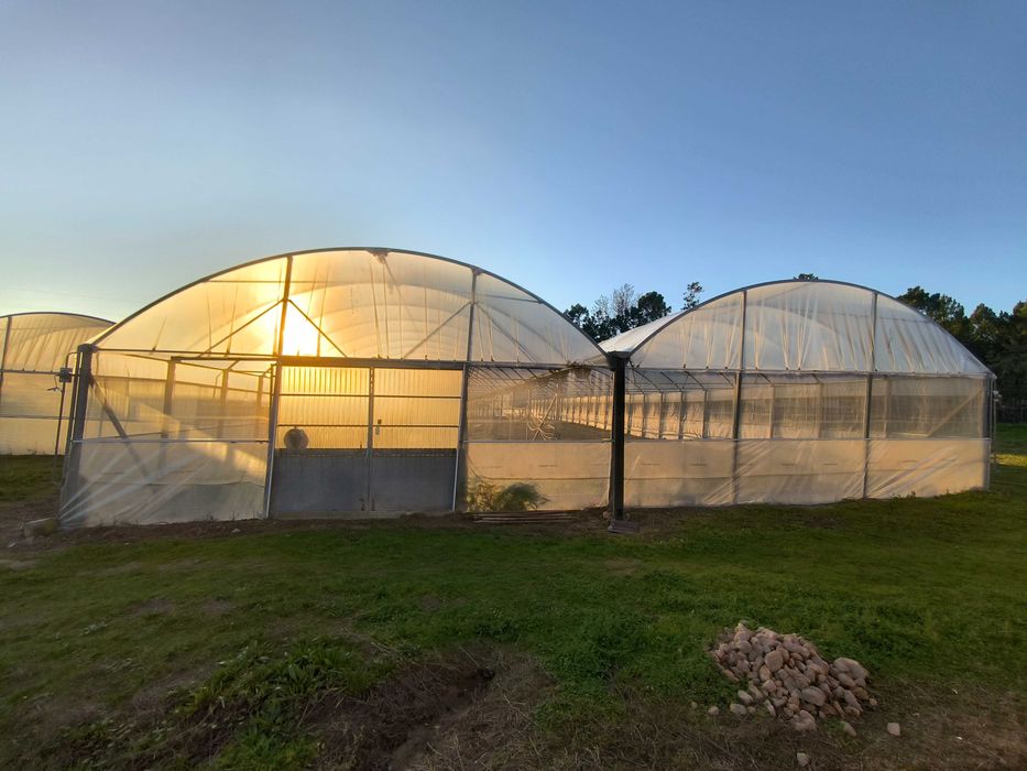 2 estufas agrícolas