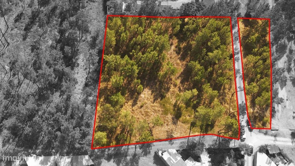 Terreno Para Construção, Rio de Couros — Rio De Couros E Casal Dos Bernardos, Santarém