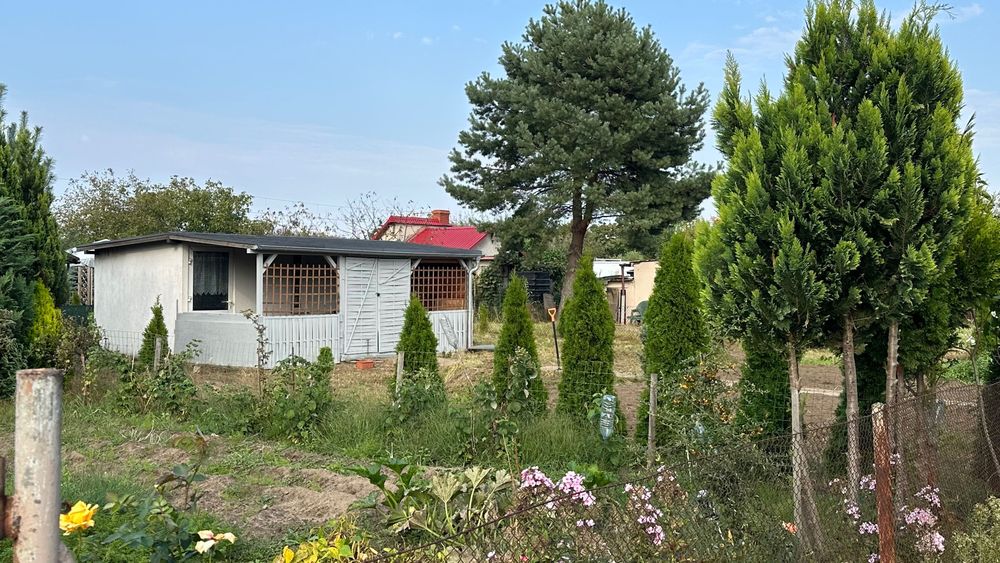 Działka ROD 311 m² Września / Białężyce – pohled 3