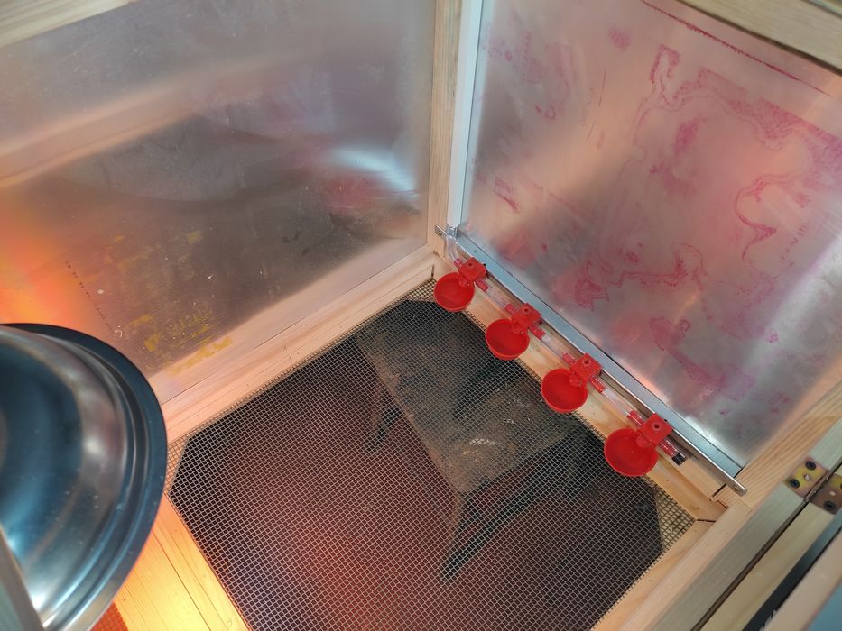 Брудер для курчат , перепілок, птиці від народження.