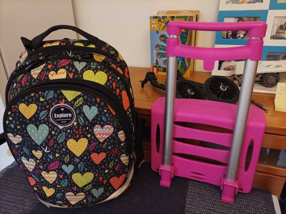 Mochila escolar Criança c/ oferta das rodas - 15€