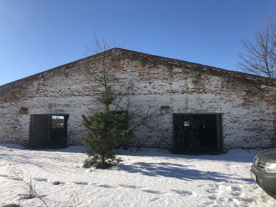 Клюшечник, зерносклад, ангар.