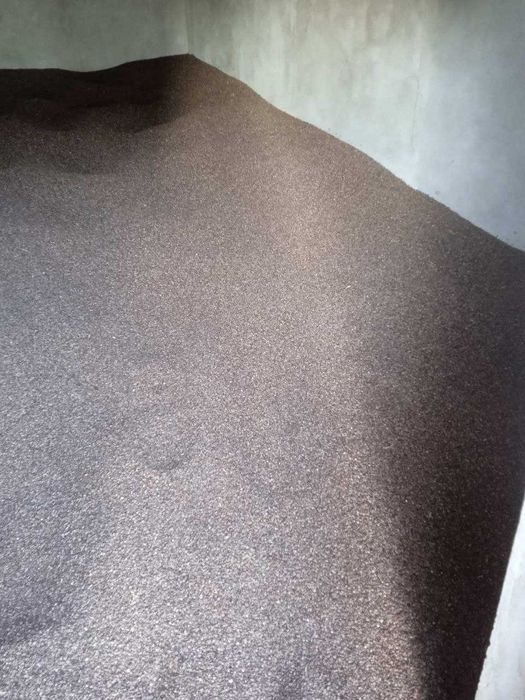 Гречка під посів