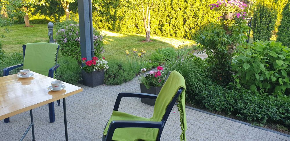 REZERWACJA Zadbana Działka ROD "Relax" Swarzędz - 336 m² - domek po remoncie + wyposażenie, gotowa do wypoczynku, zadbany ogród - Widok 2