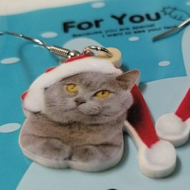 Brincos gato natal.