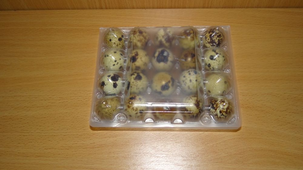 Лоткидля перепелиних яєць