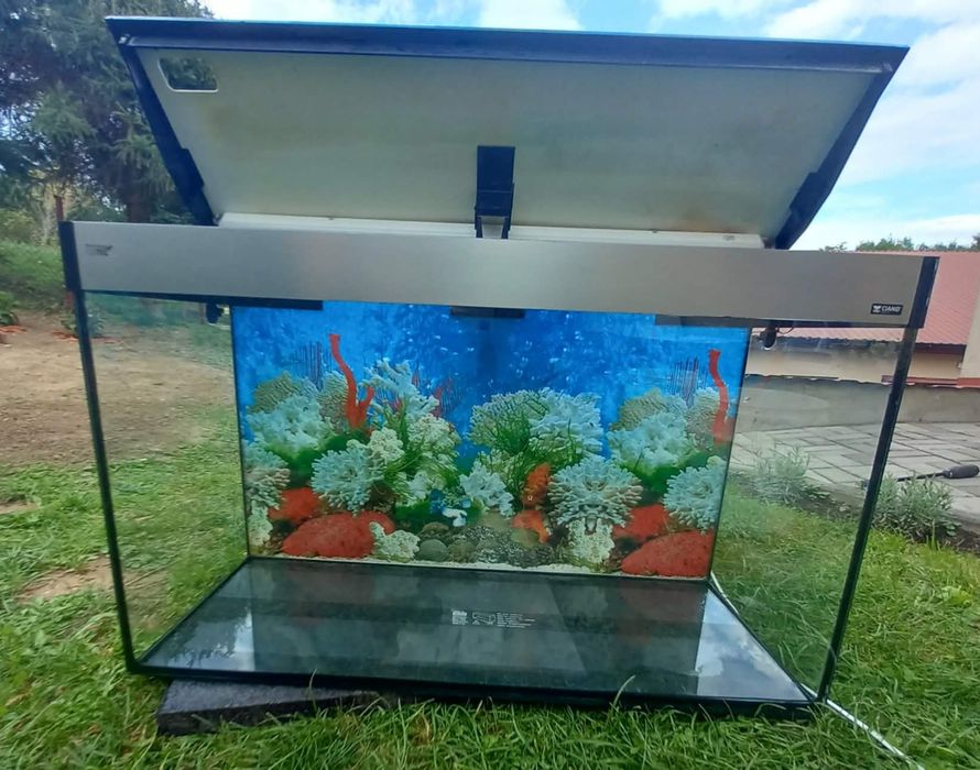 Akwarium bez rybek