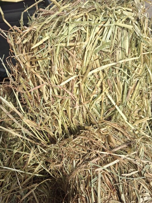 Bardzo grube I długie sianko z tymotką 6 kg