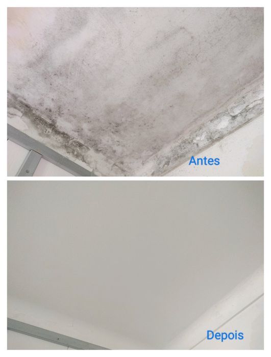 Limpeza geral e fins de obra , entre outros!!!