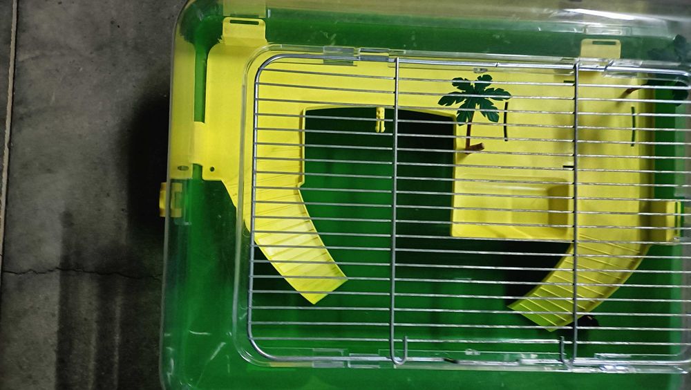 Aquário/ aquaterrário para tartaruga