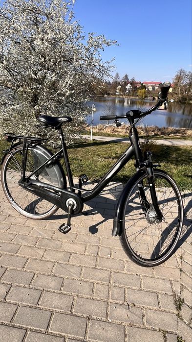 Rower Batavus allround