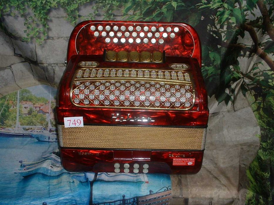 Concertina a venda n.749