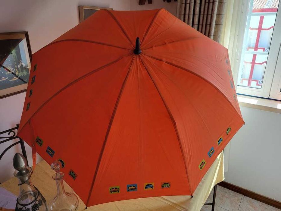 Guarda Chuva Grande Renault Clio