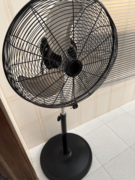 Ventuinha de pé