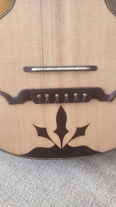Viola Campaniça de coleção