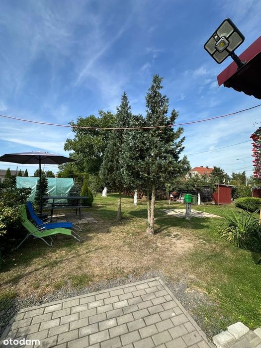 Zdjęcie 8