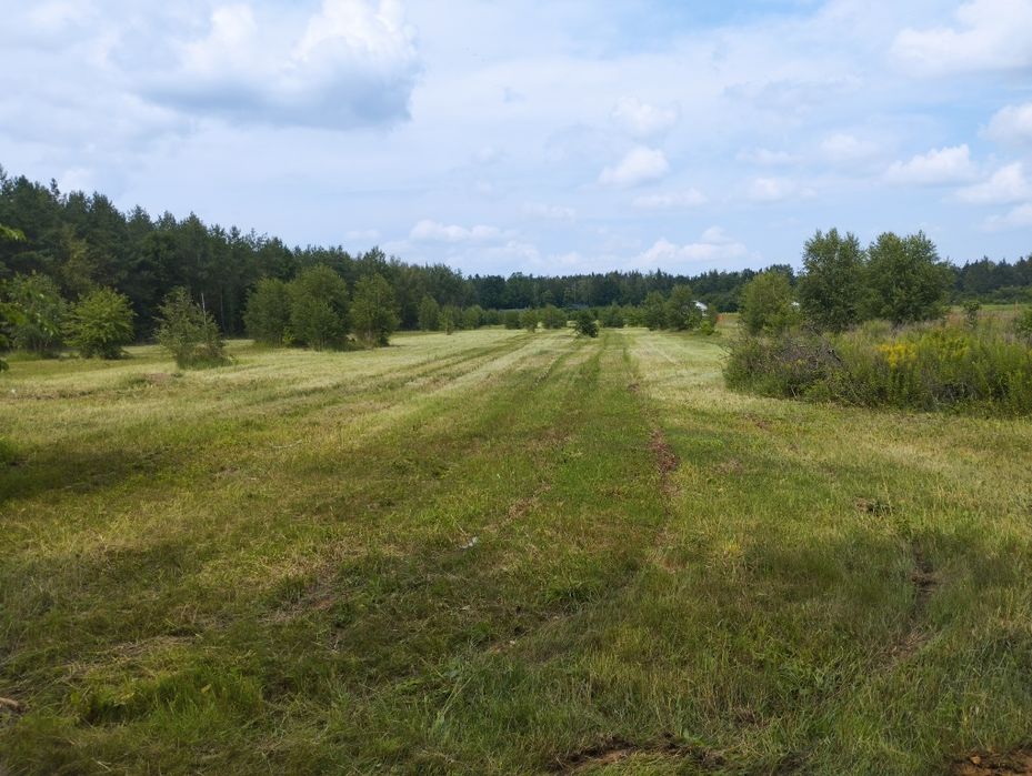 Zdjęcie 2