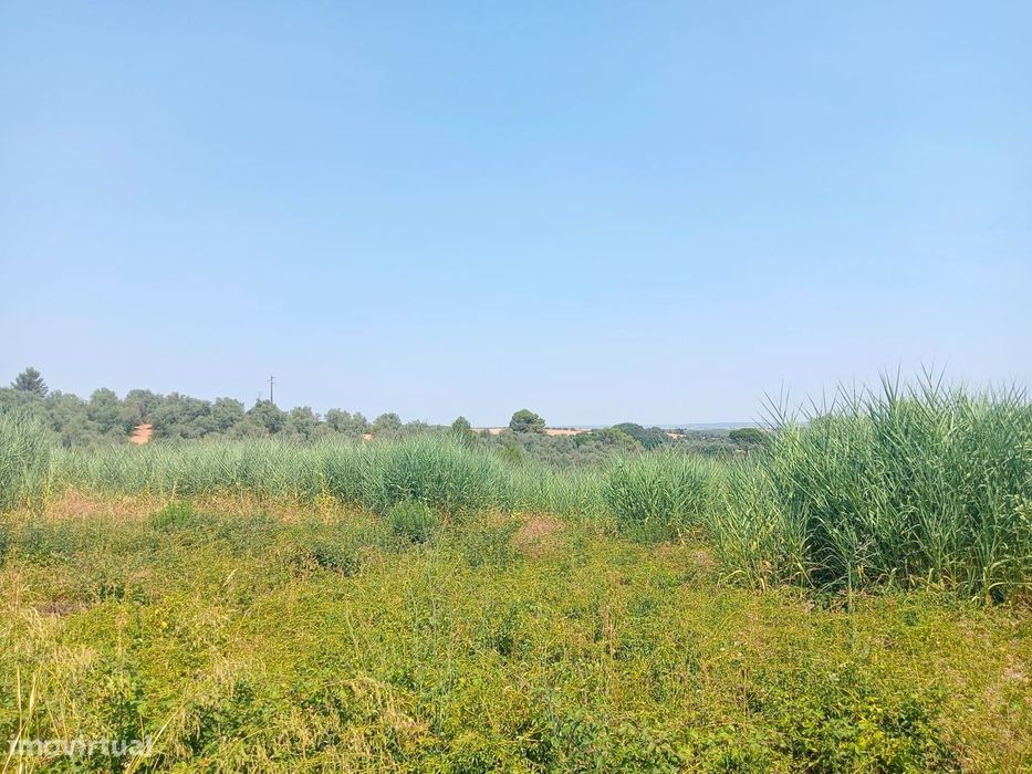 Terreno para Venda - 707 m²