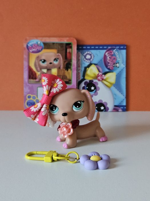 Jamnik , karta , gratis , zabawka