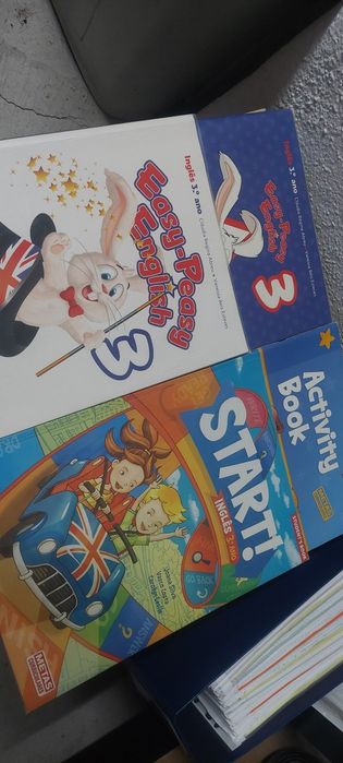 Livro Fichas e Manuais Escolares 3º Ano