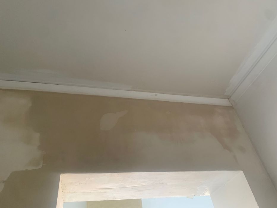 Faço Pinturas e Reparações