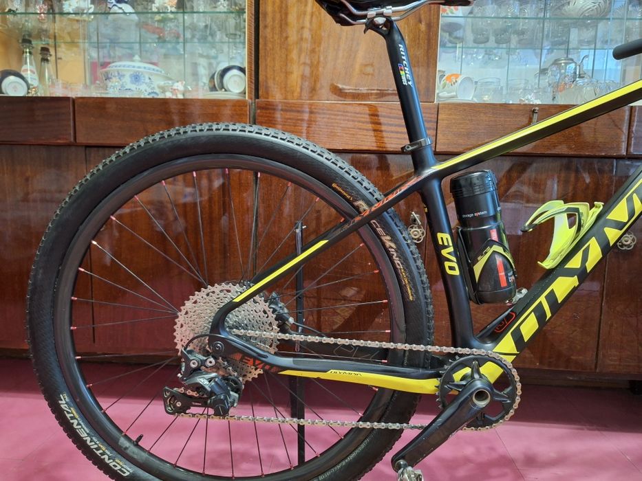 Olympia evo 29 sale