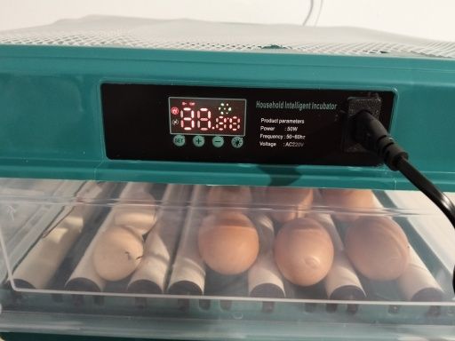50% desc. [NOVA] Incubadora/Chocadeira 36 ovos galinha 90 codorniz