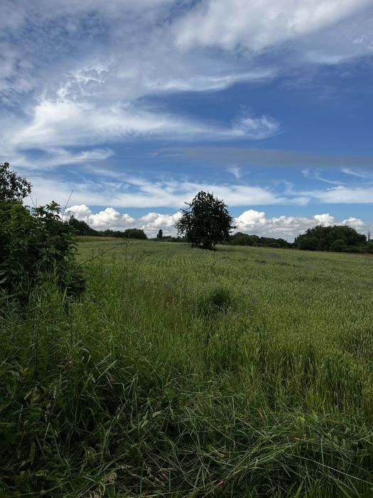 Продаж будинку біля річки | тиша, природа, край села