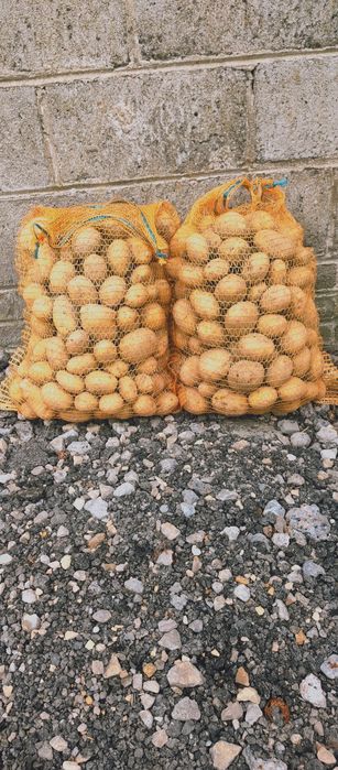 Sprzedam Ziemniaki jadalne