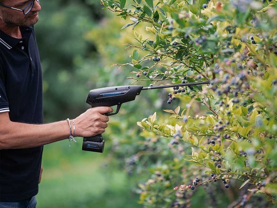 Campagnola Starberry MD2 é o vibrador de  bateria colheita de mirtilo