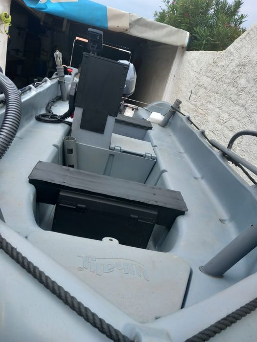 Vendo barco Whaly