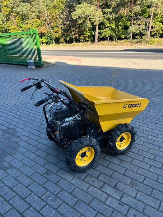 Wynajem Taczka spalinowa Cedrus