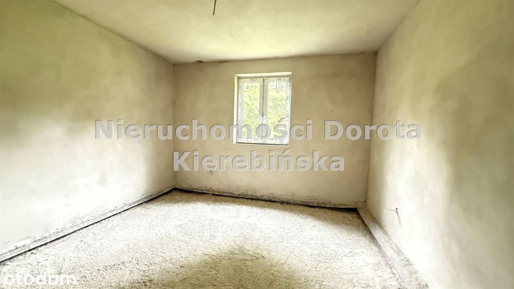 Zdjęcie 3