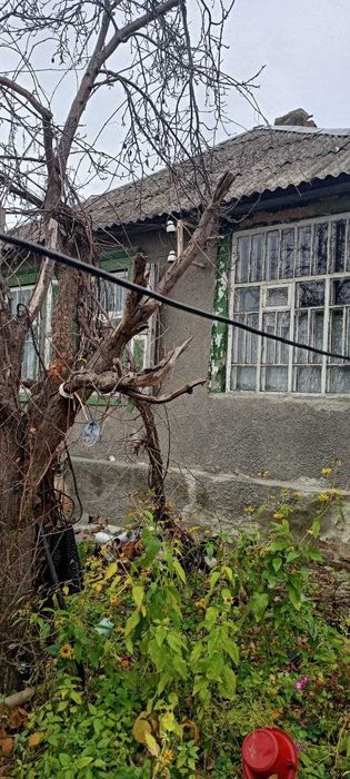 E S4 Продам дом с большим участком на Баварии