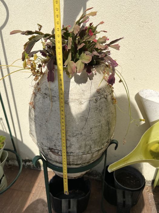 Suporte vaso + vaso