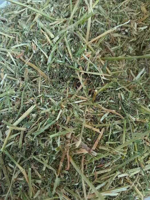 Sieczka z lucerny 20 kg