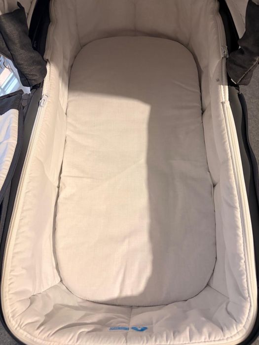 Дитяча коляска  Adamex Nola 2 в 1
