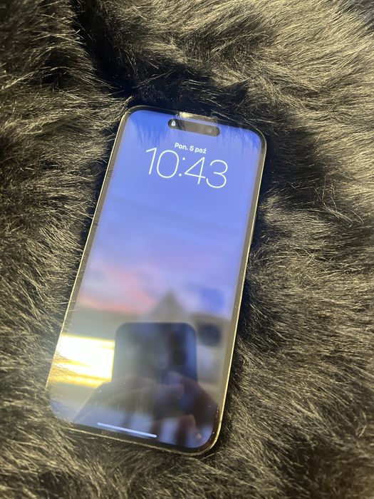 iPhone 14 Pro Max