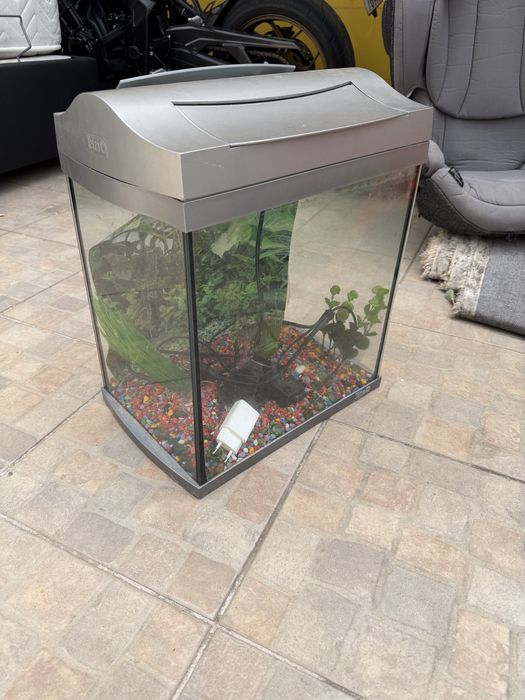Aquario