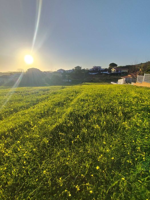 Terreno urbano para construção torres vedras