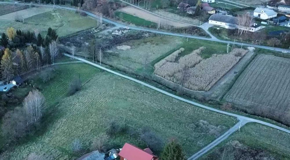 Działka 10 ar | Dobrzechów | WZ | Media |