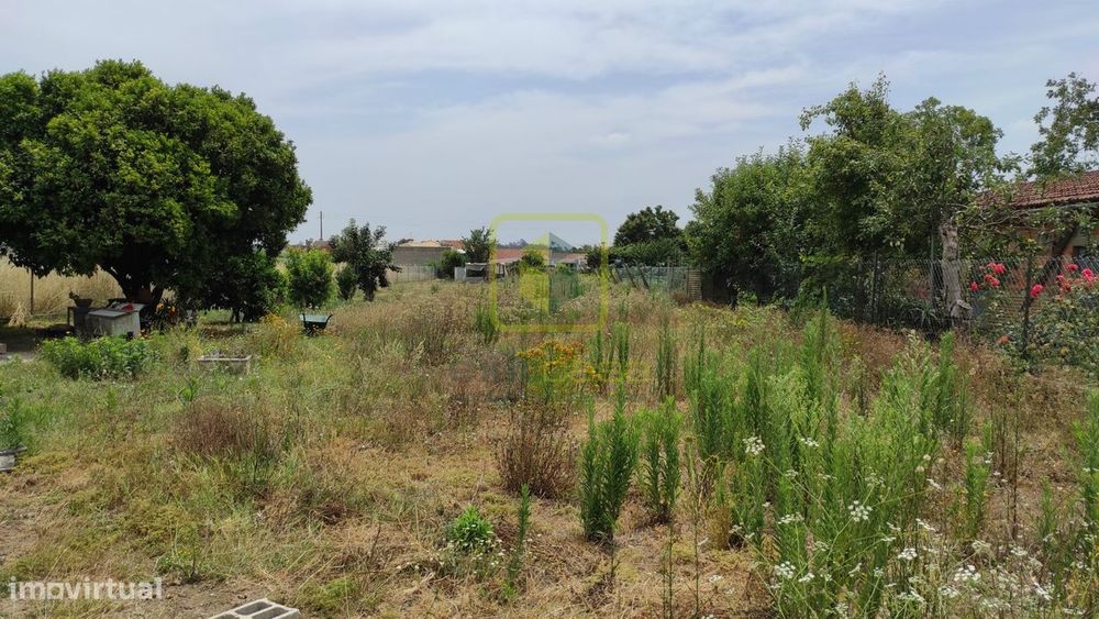 Terreno para Construção em Eixo