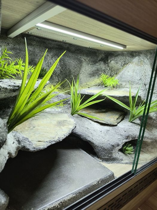 Terrarium 60x40x40