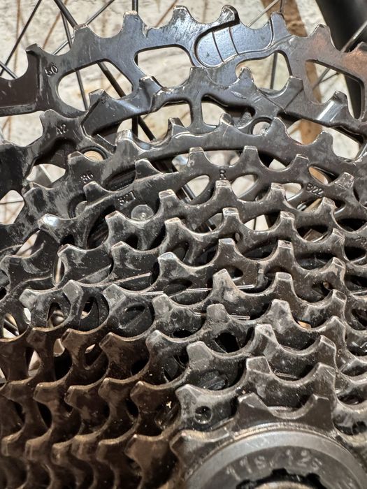 Koła 29 mtb Orbea