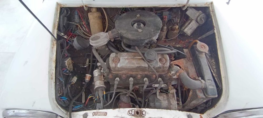 Austin Mini 1000528942565813790727