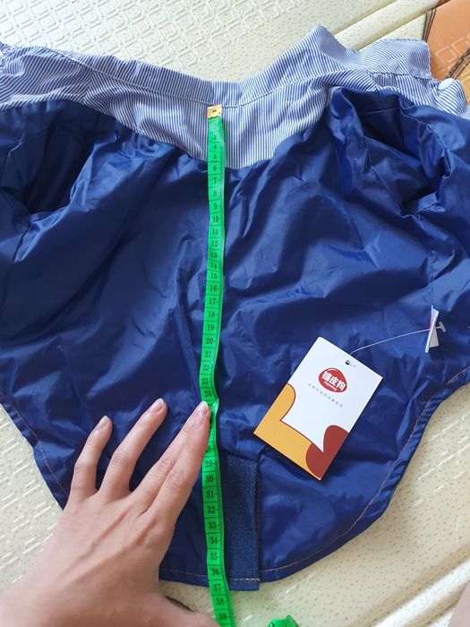 Костюм для собаки